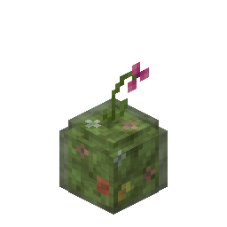 Herbal Jellie