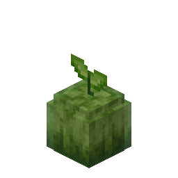 Plant Jellie