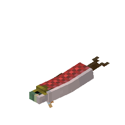 Salmon
