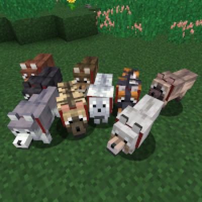 tfg:textures/gui/field_guide/dog_variants.png